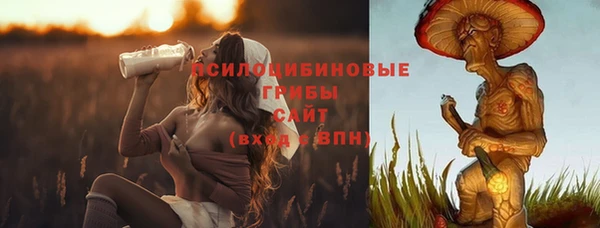 первитин Гусиноозёрск