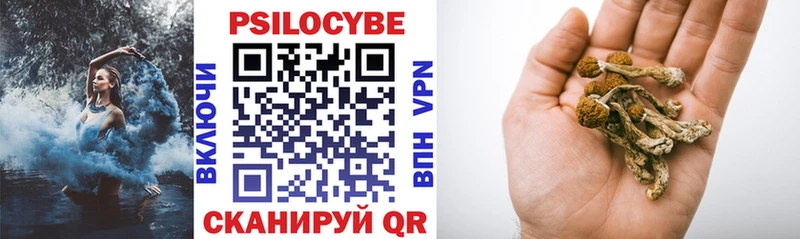 Галлюциногенные грибы Psilocybine cubensis  omg онион  Озёры 